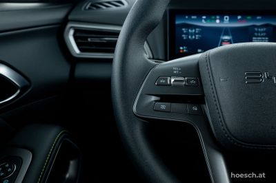 BYD Atto 2 Gebrauchtwagen BYD Atto 2 Gebrauchtwagen
