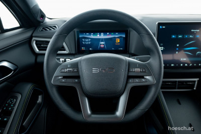 BYD Atto 2 Gebrauchtwagen
