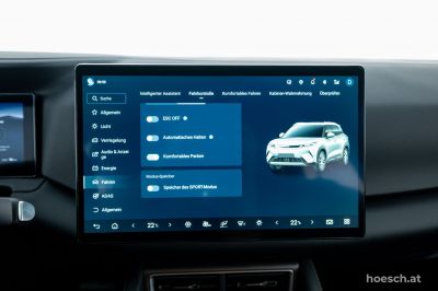 BYD Atto 2 Gebrauchtwagen BYD Atto 2 Gebrauchtwagen