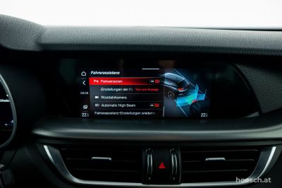 Alfa Romeo Stelvio Gebrauchtwagen