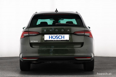 Skoda Octavia Gebrauchtwagen Skoda Octavia Gebrauchtwagen