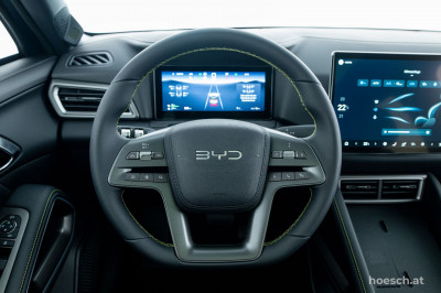 BYD Atto 2 Gebrauchtwagen BYD Atto 2 Gebrauchtwagen