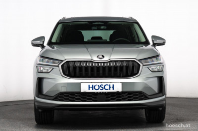 Skoda Kodiaq Gebrauchtwagen Skoda Kodiaq Gebrauchtwagen