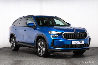 Skoda Kodiaq Gebrauchtwagen Skoda Kodiaq Gebrauchtwagen