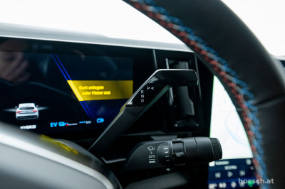 Renault Rafale Gebrauchtwagen