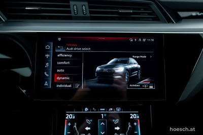 Audi e-tron Gebrauchtwagen Audi e-tron Gebrauchtwagen