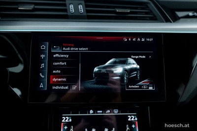 Audi e-tron Gebrauchtwagen