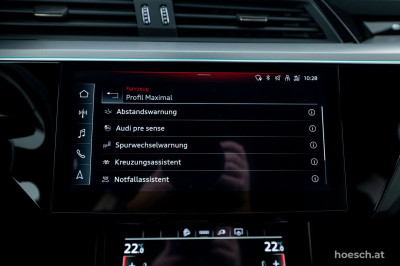 Audi e-tron Gebrauchtwagen