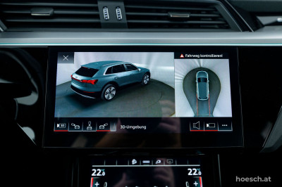 Audi e-tron Gebrauchtwagen