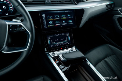 Audi e-tron Gebrauchtwagen