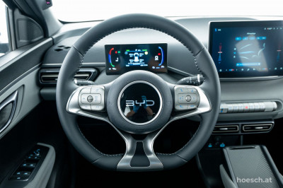BYD Dolphin Surf Gebrauchtwagen BYD Dolphin Surf Gebrauchtwagen