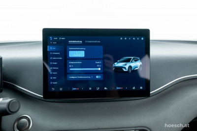 BYD Dolphin Surf Gebrauchtwagen BYD Dolphin Surf Gebrauchtwagen