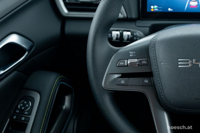 BYD Atto 2 Gebrauchtwagen