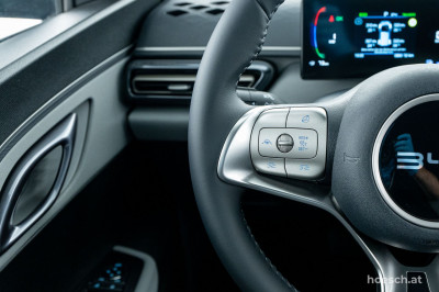 BYD Dolphin Surf Gebrauchtwagen BYD Dolphin Surf Gebrauchtwagen