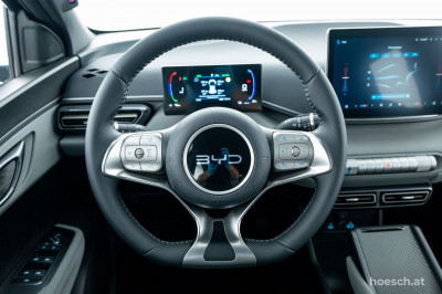 BYD Dolphin Surf Gebrauchtwagen BYD Dolphin Surf Gebrauchtwagen
