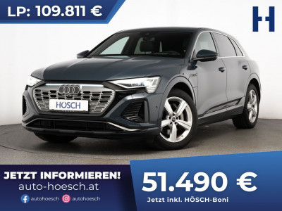 Audi Q8 e-tron Gebrauchtwagen