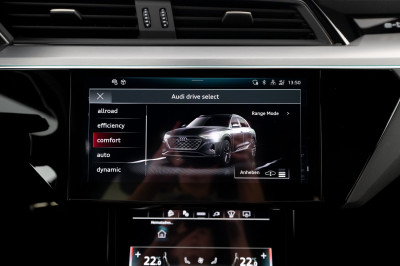 Audi Q8 e-tron Gebrauchtwagen