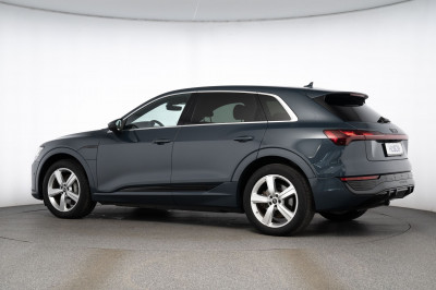 Audi Q8 e-tron Gebrauchtwagen