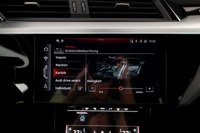 Audi Q8 e-tron Gebrauchtwagen