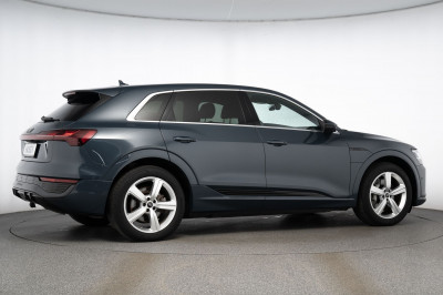 Audi Q8 e-tron Gebrauchtwagen