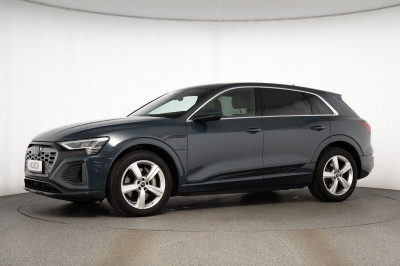 Audi Q8 e-tron Gebrauchtwagen