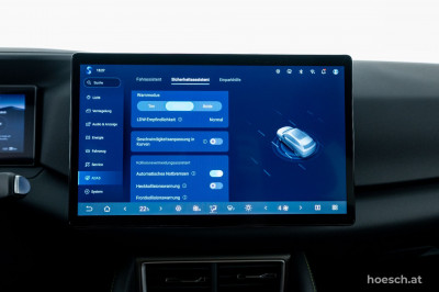BYD Atto 2 Gebrauchtwagen