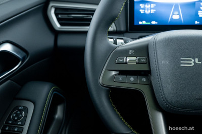 BYD Atto 2 Gebrauchtwagen