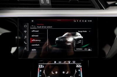 Audi e-tron Gebrauchtwagen