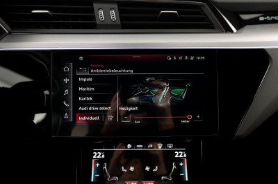 Audi e-tron Gebrauchtwagen