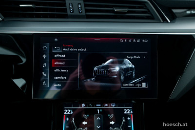 Audi e-tron Gebrauchtwagen