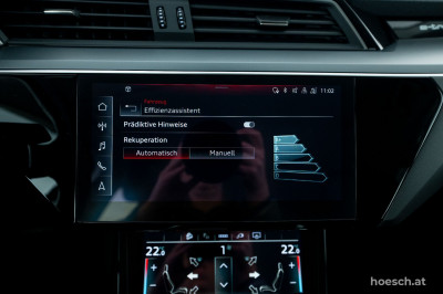 Audi e-tron Gebrauchtwagen