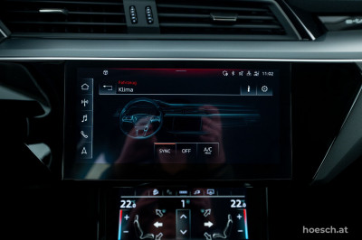 Audi e-tron Gebrauchtwagen