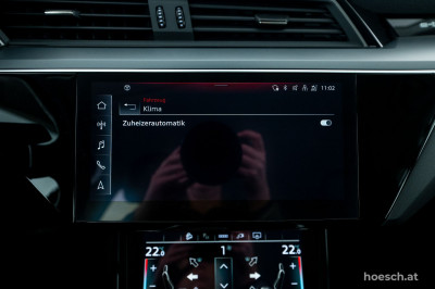 Audi e-tron Gebrauchtwagen