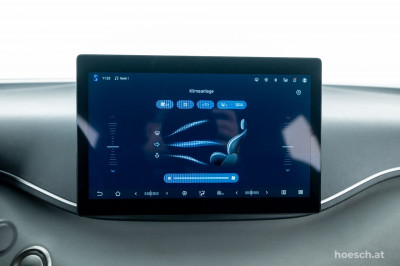 BYD Dolphin Surf Gebrauchtwagen