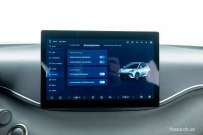 BYD Dolphin Surf Gebrauchtwagen