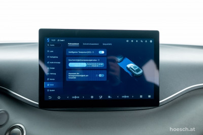 BYD Dolphin Surf Gebrauchtwagen