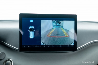 BYD Dolphin Surf Gebrauchtwagen