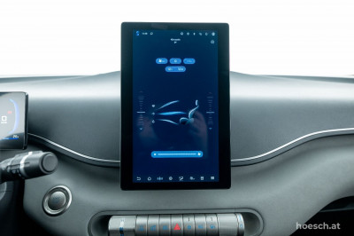 BYD Dolphin Surf Gebrauchtwagen