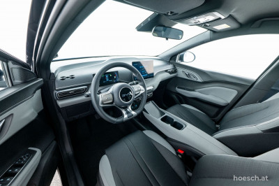 BYD Dolphin Surf Gebrauchtwagen