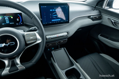 BYD Dolphin Surf Gebrauchtwagen