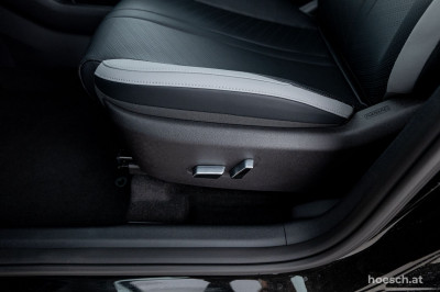 BYD Dolphin Surf Gebrauchtwagen