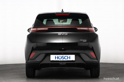 BYD Dolphin Surf Gebrauchtwagen