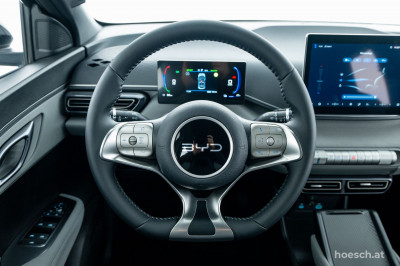 BYD Dolphin Surf Gebrauchtwagen