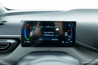 BYD Dolphin Surf Gebrauchtwagen