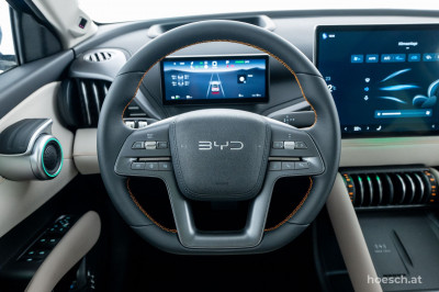 BYD Atto 3 Gebrauchtwagen BYD Atto 3 Gebrauchtwagen