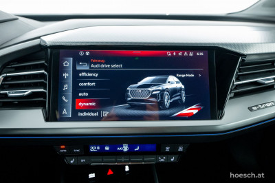 Audi Q4 e-tron Gebrauchtwagen Audi Q4 e-tron Gebrauchtwagen