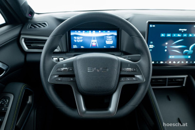 BYD Atto 2 Gebrauchtwagen BYD Atto 2 Gebrauchtwagen