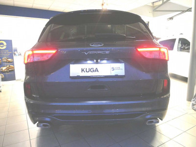 Ford Kuga Vorführwagen