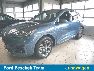 Ford Kuga Jahreswagen