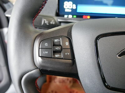 Ford Mustang Mach-E Gebrauchtwagen Ford Mustang Mach-E Gebrauchtwagen